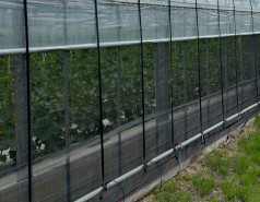 サンサンネット クロスブラック