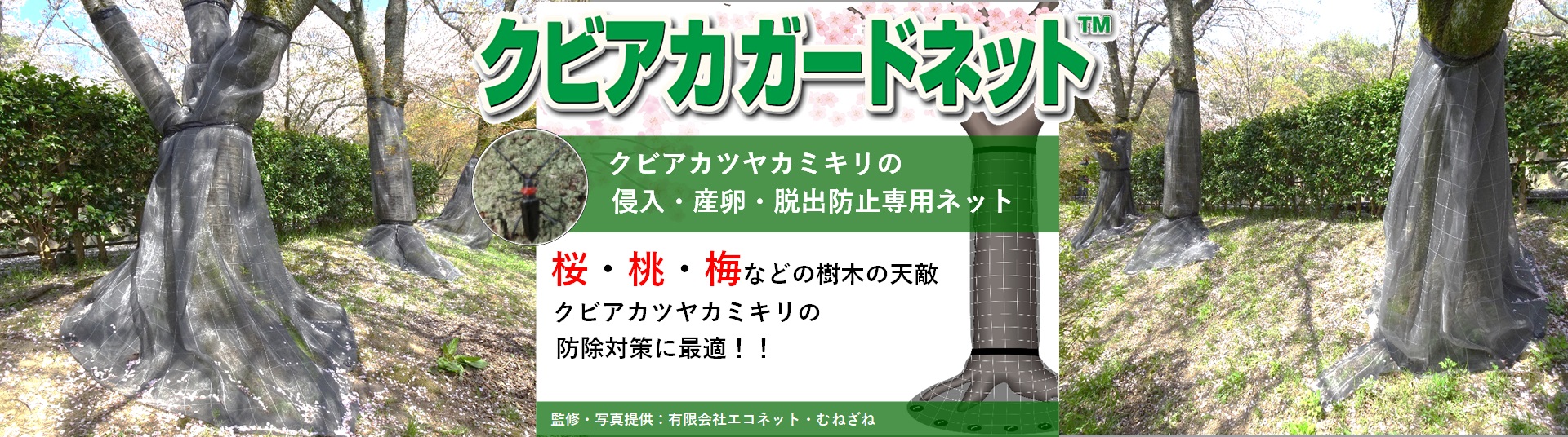 日本ワイドクロス株式会社 | 日本ワイドクロス株式会社は防虫ネット